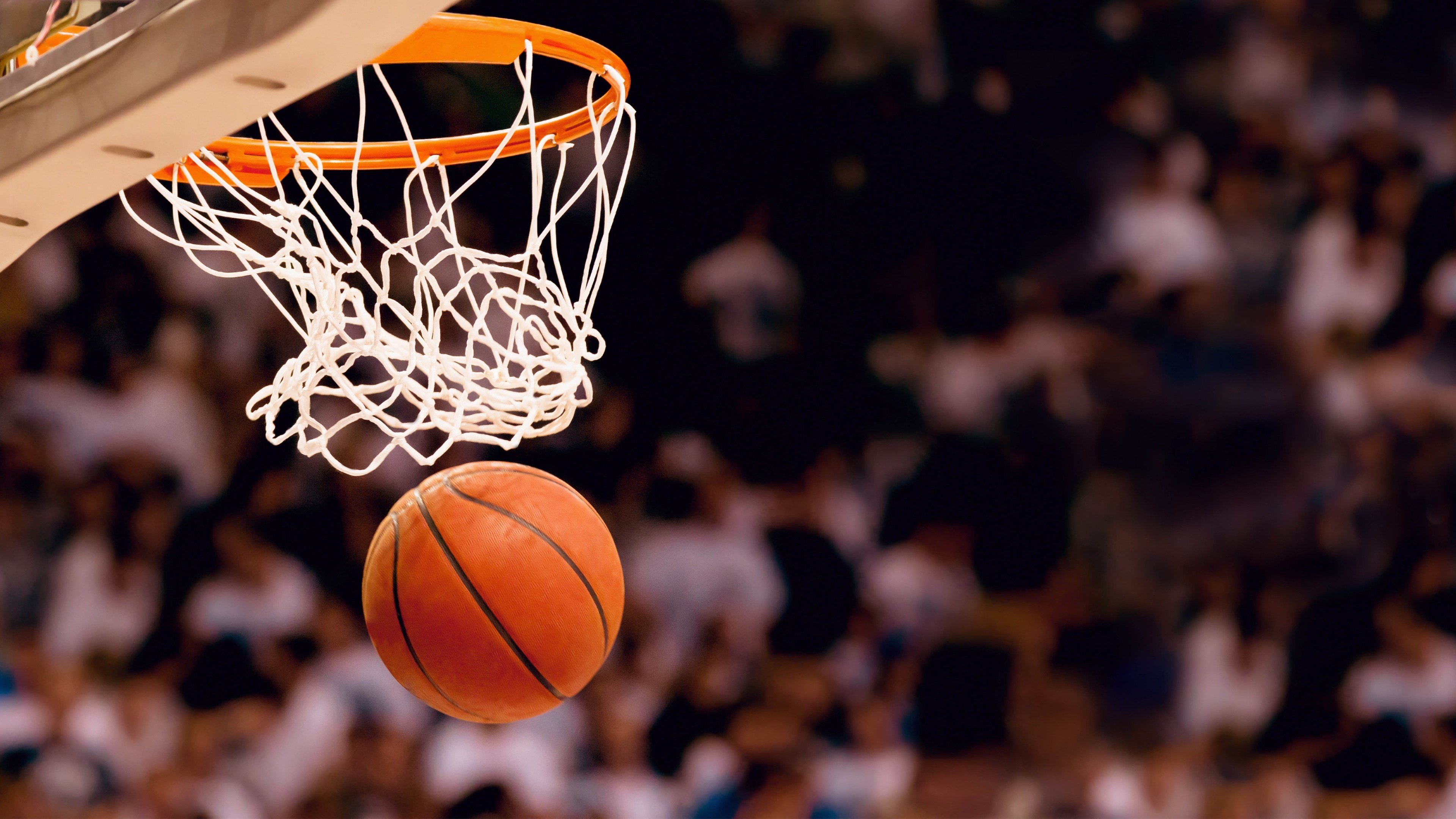 九游app下载-体坛三线快讯，篮网回暖备战荷甲，海港调整迎全明星，勒沃库森造点绝杀